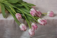 03b_060_Suzanne_IMG_8958prospero