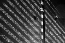 09_030_Ralf_2012-08-12-102830-D90-sw-so-h2160