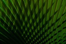 06_010_Fritz_IMG_4142_-_Arbeitskopie_2