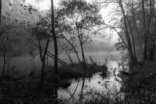 11_Andreas_Boediger_Langweiher___